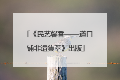 《民艺馨香——道口铺非遗集萃》出版