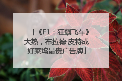 《F1：狂飙飞车》大热，布拉德·皮特成好莱坞最贵广告牌