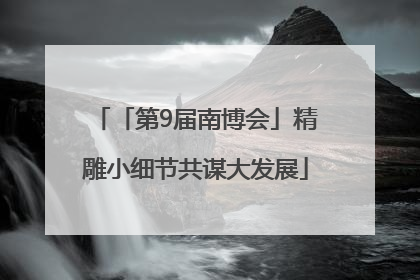 「第9届南博会」精雕小细节共谋大发展
