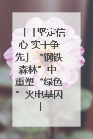 「坚定信心 实干争先」“钢铁森林”中 重塑“绿色”火电基因