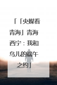 「央媒看青海」青海西宁：我和鸟儿的端午之约