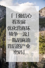 「强信心 看发展 优化营商环境争一流」一瓶胡麻油背后的产业密码