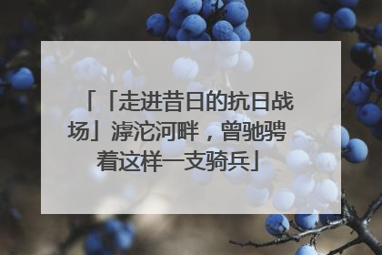 「走进昔日的抗日战场」滹沱河畔，曾驰骋着这样一支骑兵
