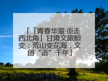 「青春华章·重走西北角」甘肃文旅嬗变：荒山变花海，文创“语”千年
