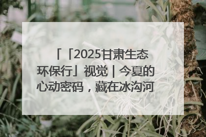 「2025甘肃生态环保行」视觉｜今夏的心动密码，藏在冰沟河的潋滟波光里