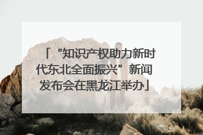 “知识产权助力新时代东北全面振兴”新闻发布会在黑龙江举办