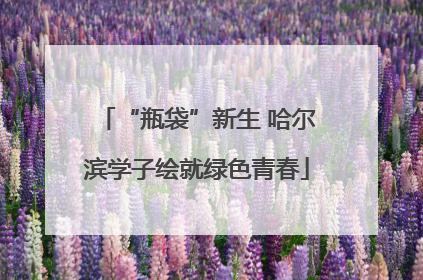 “瓶袋”新生 哈尔滨学子绘就绿色青春