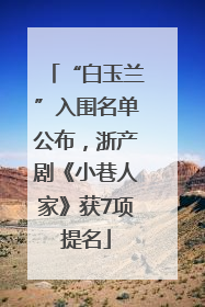 “白玉兰”入围名单公布，浙产剧《小巷人家》获7项提名