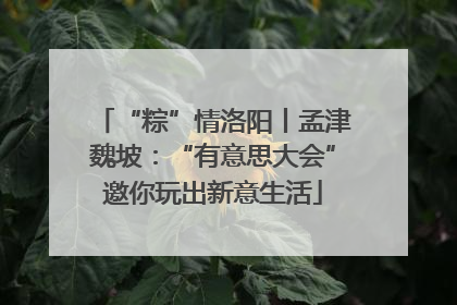 “粽”情洛阳丨孟津魏坡：“有意思大会”邀你玩出新意生活