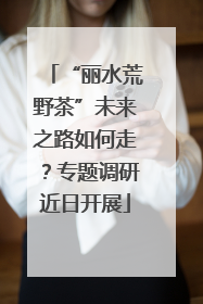 “丽水荒野茶”未来之路如何走？专题调研近日开展
