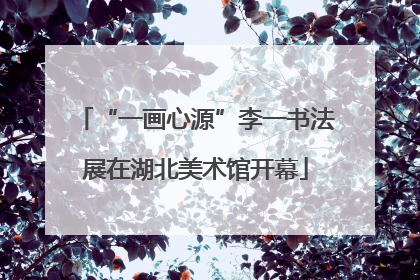 “一画心源”李一书法展在湖北美术馆开幕