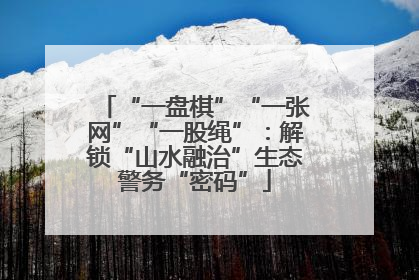 “一盘棋”“一张网”“一股绳”：解锁“山水融治”生态警务“密码”