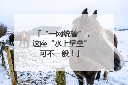 “一网统管”，这座“水上堡垒”可不一般！