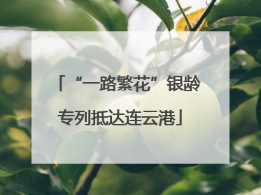 “一路繁花”银龄专列抵达连云港