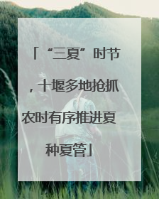 “三夏”时节，十堰多地抢抓农时有序推进夏种夏管
