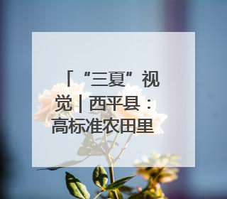 “三夏”视觉｜西平县：高标准农田里上演昼夜不停的“速度与激情”