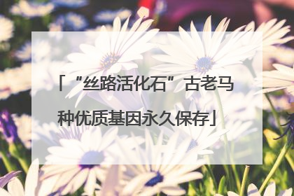 “丝路活化石”古老马种优质基因永久保存