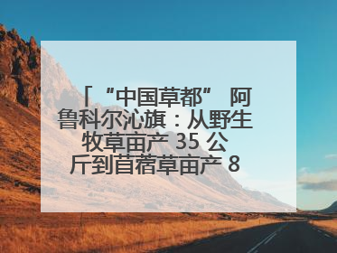 “中国草都” 阿鲁科尔沁旗：从野生牧草亩产 35 公斤到苜蓿草亩产 800 公斤以上