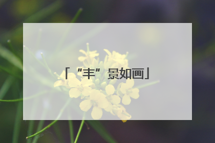 “丰”景如画