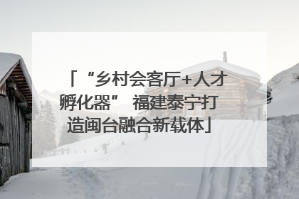 “乡村会客厅+人才孵化器” 福建泰宁打造闽台融合新载体