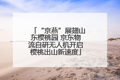 “京燕”展翅山东樱桃园 京东物流自研无人机开启樱桃出山新速度