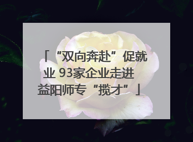 “双向奔赴”促就业 93家企业走进益阳师专“揽才”