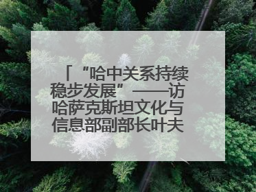 “哈中关系持续稳步发展”——访哈萨克斯坦文化与信息部副部长叶夫根尼·科切托夫