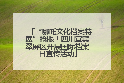 “哪吒文化档案特展”抢眼！四川宜宾翠屏区开展国际档案日宣传活动