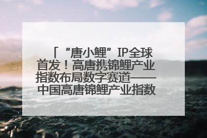 “唐小鲤”IP全球首发！高唐携锦鲤产业指数布局数字赛道——中国高唐锦鲤产业指数暨“唐小鲤”IP全球首发仪式在杭州举行