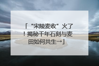 “宋陵麦收”火了！揭秘千年石刻与麦田如何共生→