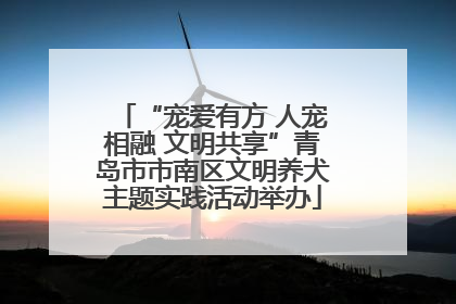 “宠爱有方 人宠相融 文明共享”青岛市市南区文明养犬主题实践活动举办