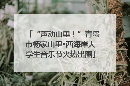 “声动山里！”青岛市杨家山里•西海岸大学生音乐节火热出圈