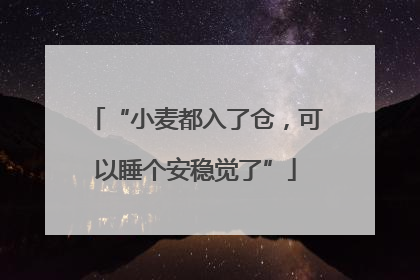 “小麦都入了仓，可以睡个安稳觉了”