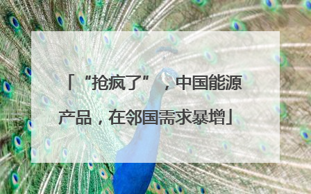 “抢疯了”，中国能源产品，在邻国需求暴增
