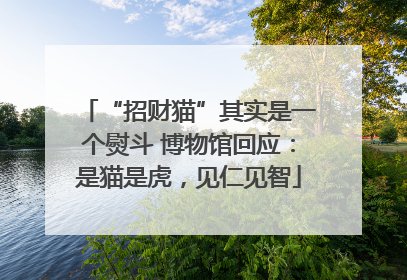 “招财猫”其实是一个熨斗 博物馆回应：是猫是虎，见仁见智