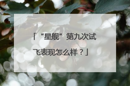 “星舰”第九次试飞表现怎么样？