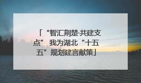 “智汇荆楚·共建支点” 我为湖北“十五五”规划建言献策