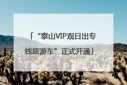 “泰山VIP观日出专线旅游车”正式开通