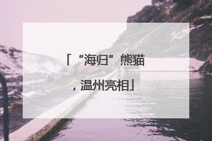“海归”熊猫，温州亮相