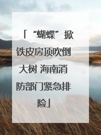 “蝴蝶”掀铁皮房顶吹倒大树 海南消防部门紧急排险