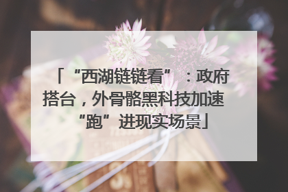 “西湖链链看”：政府搭台，外骨骼黑科技加速“跑”进现实场景