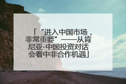 “进入中国市场，非常重要”——从肯尼亚-中国投资对话会看中非合作机遇