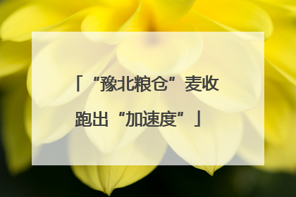 “豫北粮仓”麦收跑出“加速度”