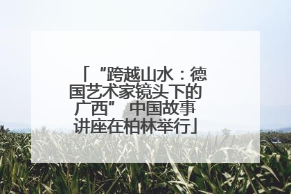 “跨越山水：德国艺术家镜头下的广西” 中国故事讲座在柏林举行