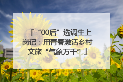 “00后”选调生上岗记：用青春激活乡村文旅“气象万千”