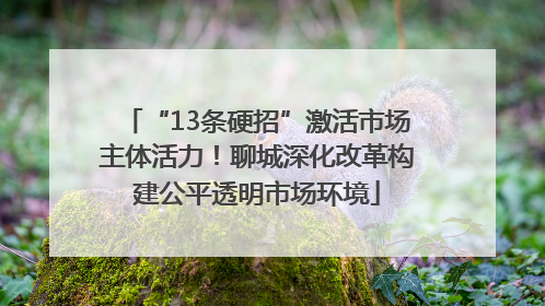 “13条硬招”激活市场主体活力！聊城深化改革构建公平透明市场环境
