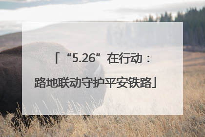 “5.26”在行动：路地联动守护平安铁路