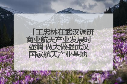 王忠林在武汉调研商业航天产业发展时强调 做大做强武汉国家航天产业基地 打造具有全国影响力的“中国星谷”