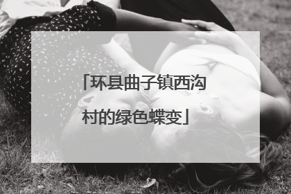 环县曲子镇西沟村的绿色蝶变