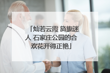 灿若云霞 旖旎迷人 石家庄公园的合欢花开得正艳